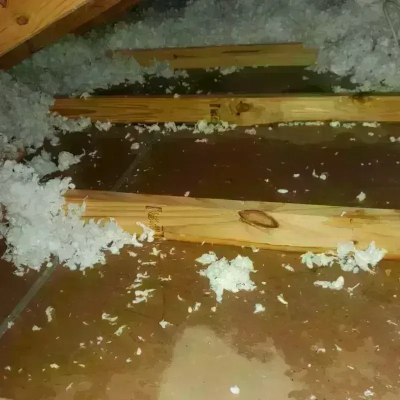 Attic Water Damage in Dandridge, TN